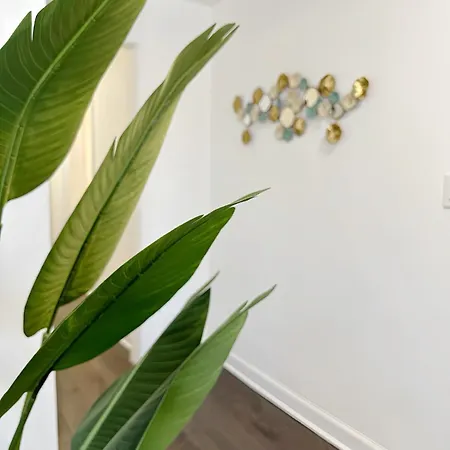 Comfy Flat By Foster Beach Uptown Downtown Chicago