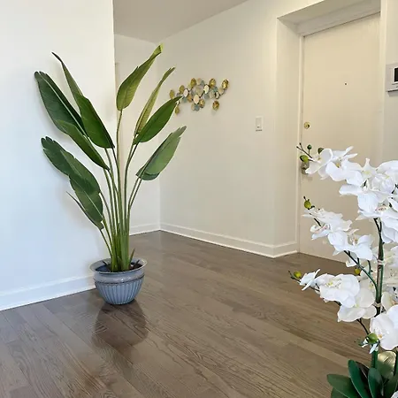 Comfy Flat By Foster Beach Uptown Downtown Apartment
