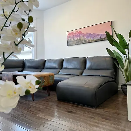 Comfy Flat By Foster Beach Uptown Downtown Apartment *