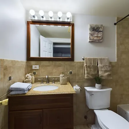 Tuscan Charm In Chicago's Heart Holiday home *