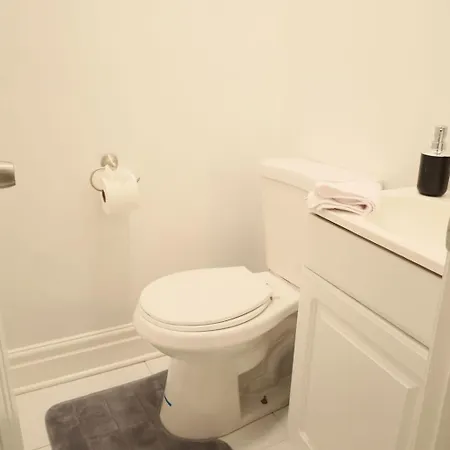Apartment Gorgeous 4bdr In Chicago,15mins From Dwtn Chicago