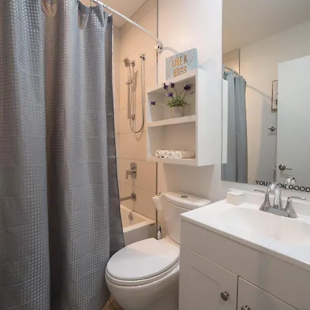 Large 4-bedroom Upscale W Rooftop Apartment Chicago