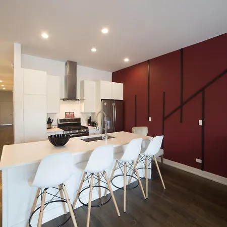 Apartment Large 4-bedroom Upscale W Rooftop Chicago