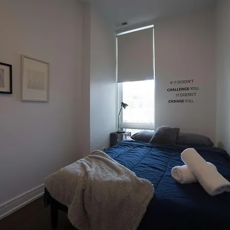 Large 4-bedroom Upscale W Rooftop Chicago