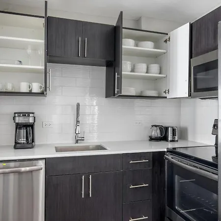 Gold Coast 1br W Gym Lounge 1 Block To L Chi-800 Apartment