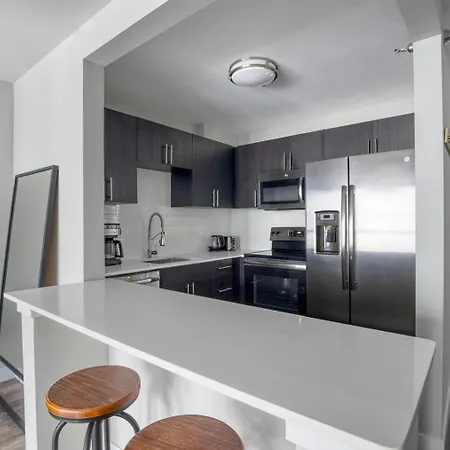 Gold Coast 1br W Gym Lounge 1 Block To L Chi-800 Chicago