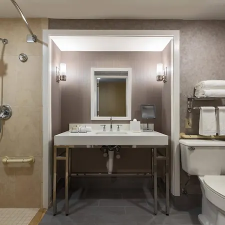 Hotel Renaissance Downtown 4*