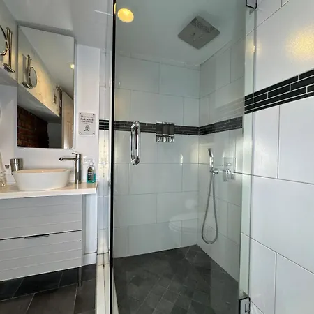 Modern In Lincoln Park Apartment *
