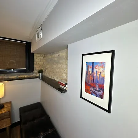 Apartment Modern In Lincoln Park *