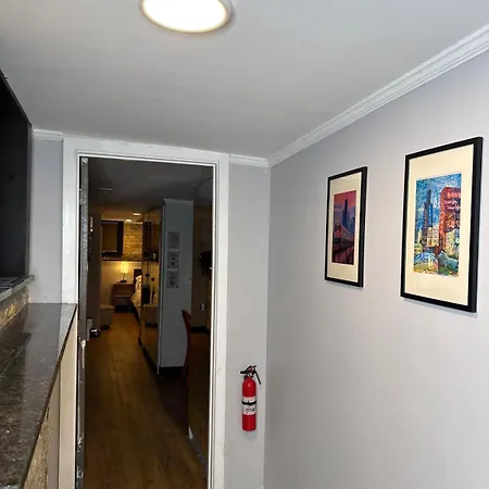 Modern In Lincoln Park Apartment