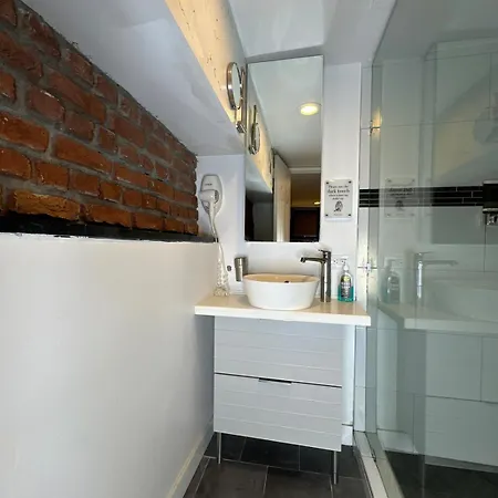 Modern In Lincoln Park Apartment *