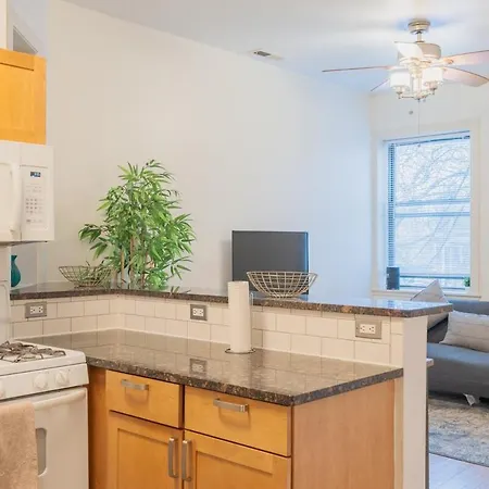 Stylish 4br In Hyde Park, Steps From Uchicago Chicago
