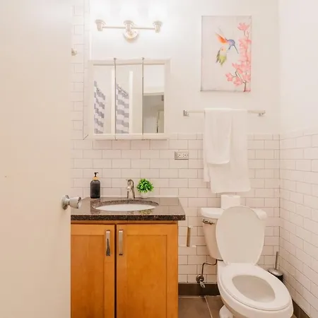 Stylish 4br In Hyde Park, Steps From Uchicago *