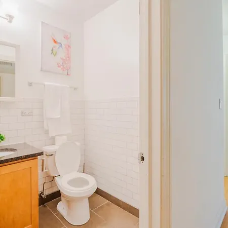 Stylish 4br In Hyde Park, Steps From Uchicago * Chicago