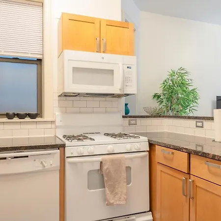 Stylish 4br In Hyde Park, Steps From Uchicago Apartment Chicago