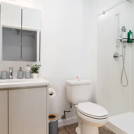 Apartment Regal Stylish Uptown Loft Beachfront Rooftopwfhgym *