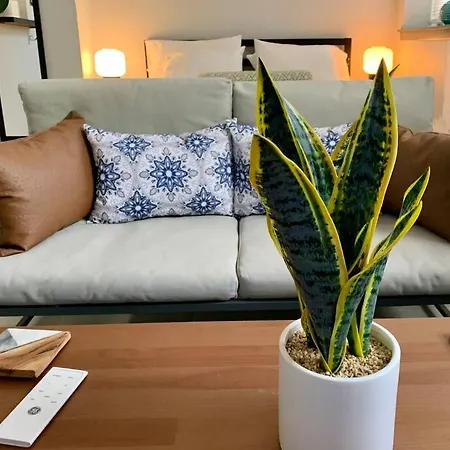 Explore North Side From Modern *
