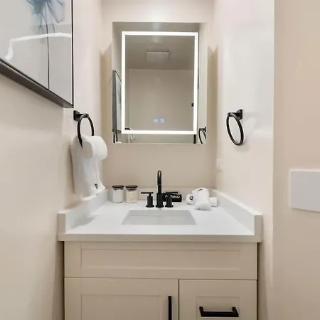 Luxury 2br 2ba In Wicker Park Apartment Chicago