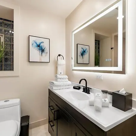 Luxury 2br 2ba In Wicker Park Apartment Chicago