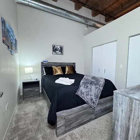 Luxery - Themed Units! Close To Downtown, Mccormick Place & Wintrust Arena Apartment