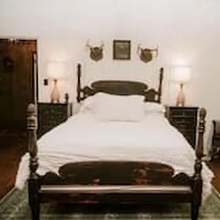Echo House *