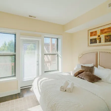 Apartment Chic & Elegant 4br Retreat Near Uchi With Laundry