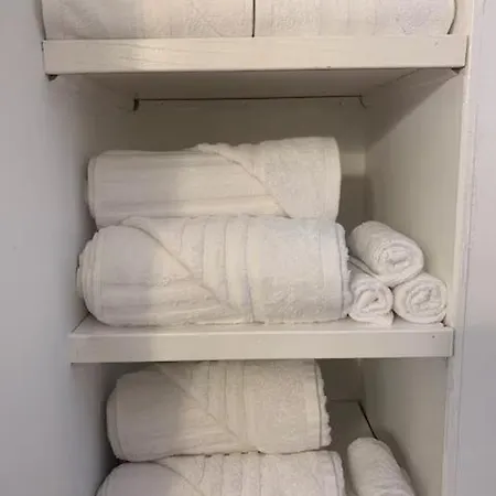 Apartment Luxurious Andersonville Oasis Chicago