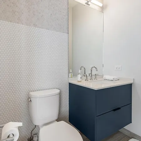 Avenir West Loop Penthouses With Iconic Views Apartment Chicago
