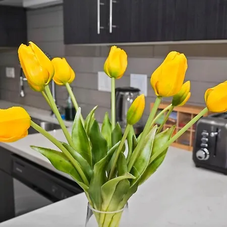 Modern 420- Friendly 3br Unit Near Mccormick Place, Of Illinois And Soldier Field Apartment Chicago