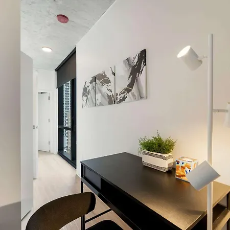Lux 3 Bed 3 Bath High Rise With Gym & Amenities Apartment