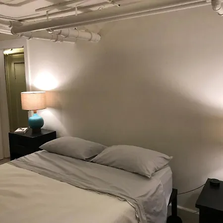 Comfy Garden In Andersonville Apartment