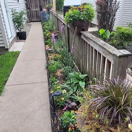 Comfy Garden In Andersonville