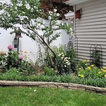 Comfy Garden In Andersonville Apartment
