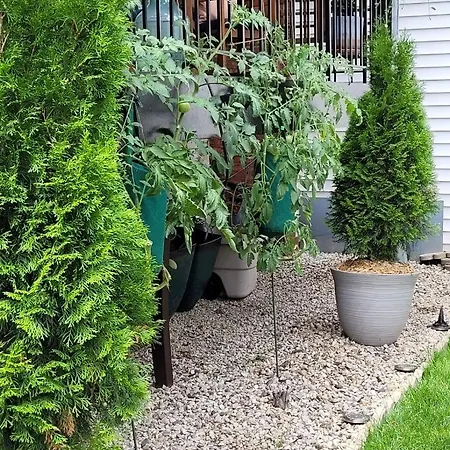 Comfy Garden In Andersonville Apartment