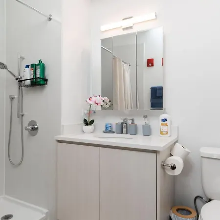 Apartment Elegant Style Loft Montrose Rooftop Wfh Gym Chicago
