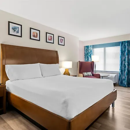 Hotel Hilton Garden Downtown Riverwalk 3*