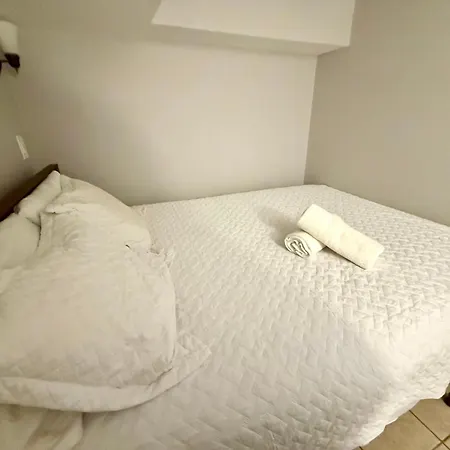 Close To Downtown - Free Parking Chicago