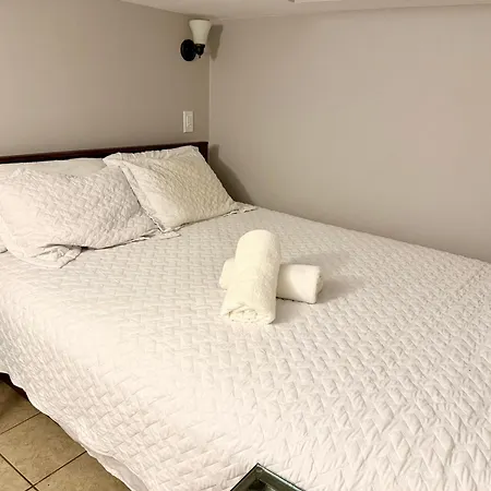 Close To Downtown - Free Parking *