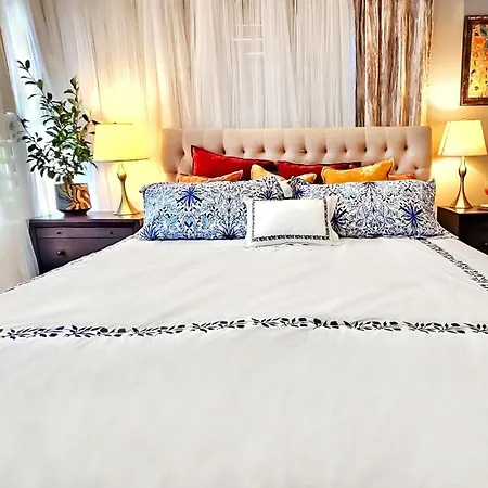 Art Downtown Fulton Market Entire 3 Bedroom Sleep10 Private Garage Roof Ev Tesla Holiday home