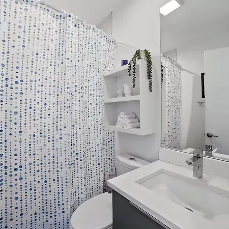 Apartment 4 Bedroom Unit In West Town