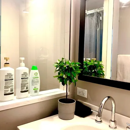 Bridgeport Place - Free Parking, Mccormick Place-sox Park Apartment *