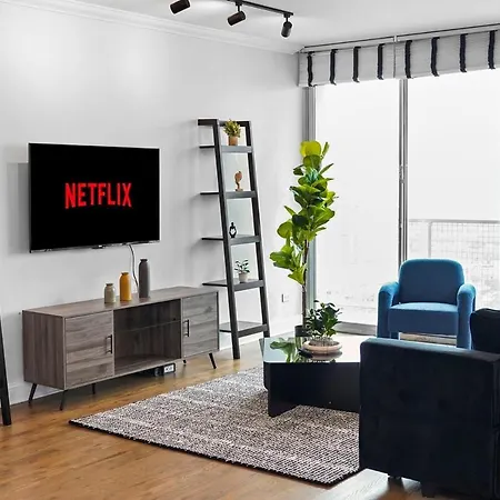 Luxury 1br Michigan Near Mccormick Parking Apartment