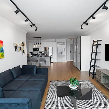 Luxury 1br Michigan Near Mccormick Parking