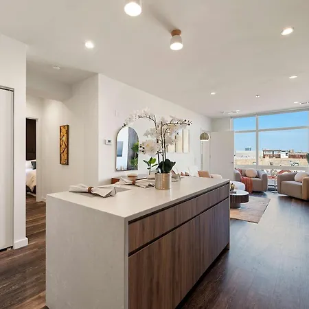 Apartment Luxury 2bd-2ba View-gym-rooftop Chicago