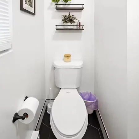 2 Bd 2 Ba Bucktown Safari Flat *