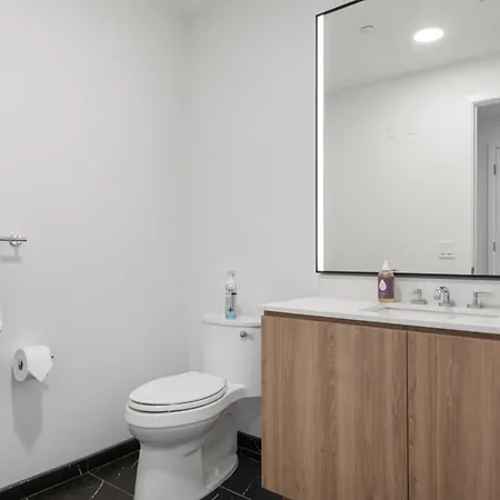 Lux Apts With Views And Amenities * Chicago