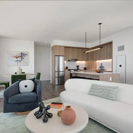 Lux Apts With Views And Amenities Apartment Chicago