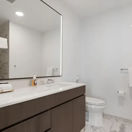 Apartment Lux Apts With Views And Amenities Chicago
