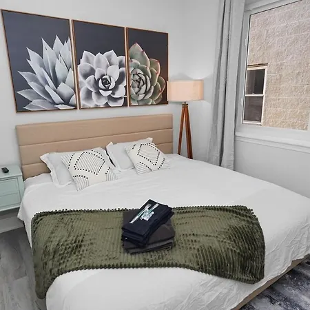 Spacious 3br Near Downtown, Of Illinois & Medical District Apartment Chicago