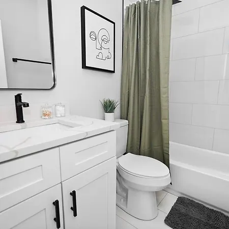 Spacious 3br Near Downtown, Of Illinois & Medical District Apartment